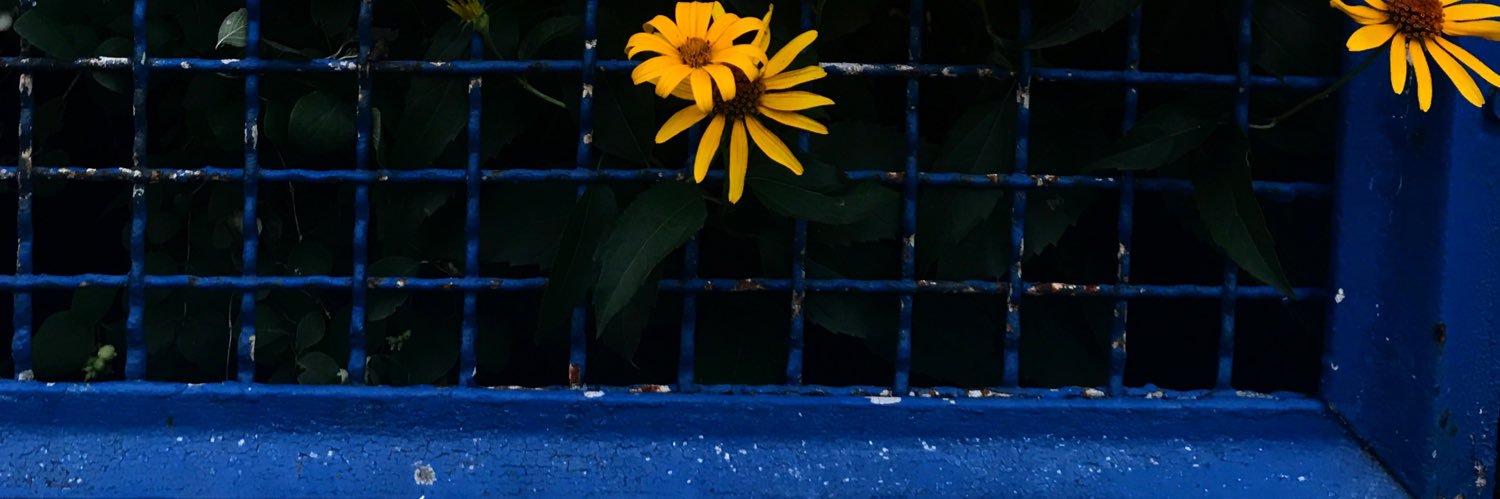 BoseSarm's profile banner image