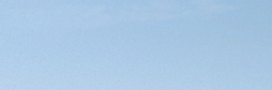 sizzlerbizzy's profile banner image