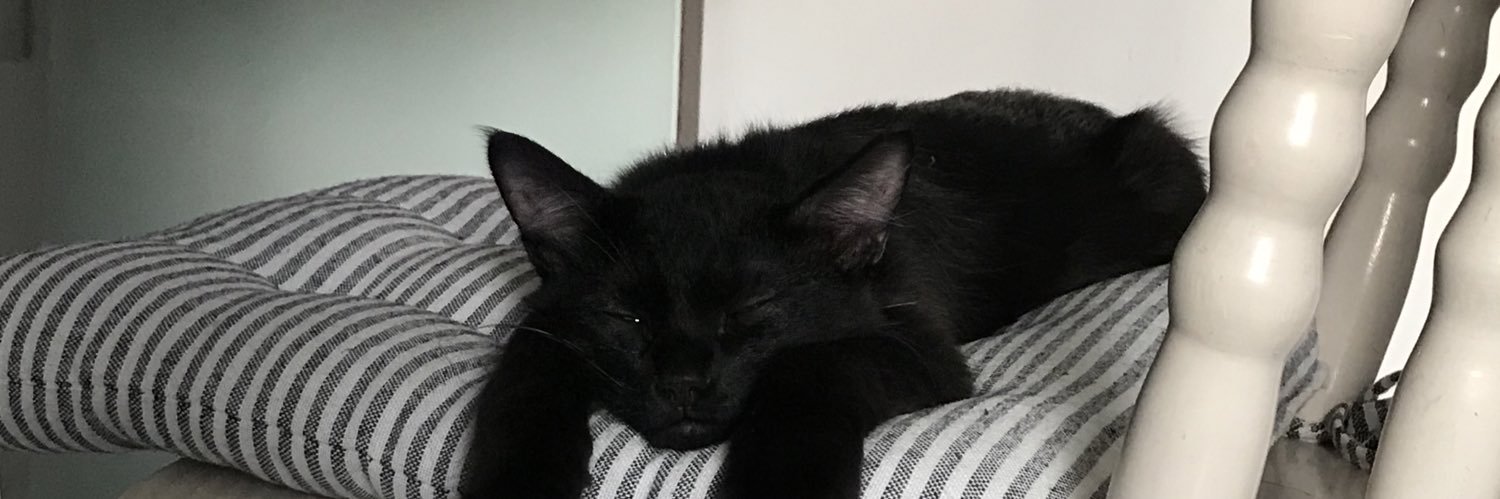 WORSTOFMARI's profile banner image