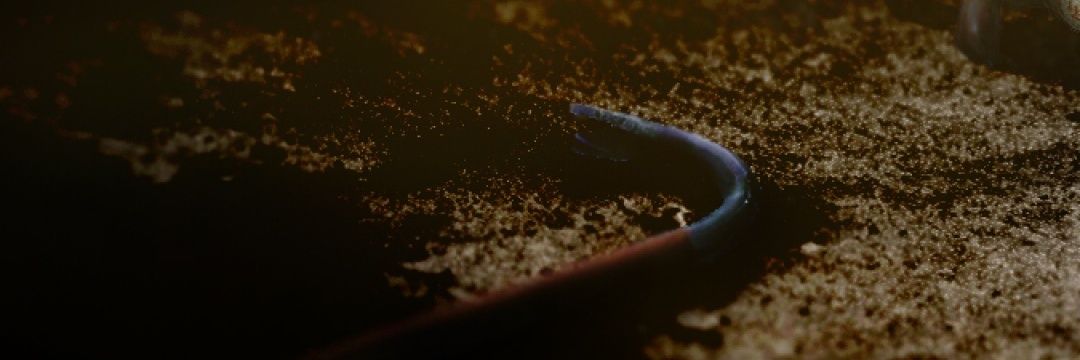 IAKOTECH's profile banner image