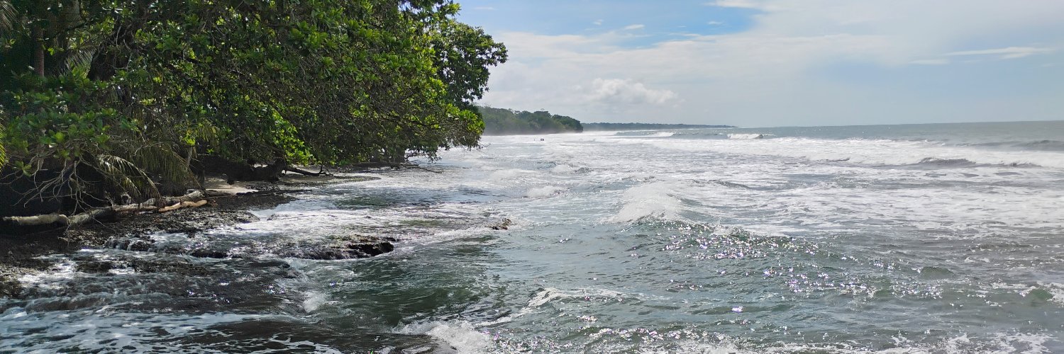 Anabelle Handdoek 👽 banner