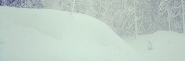 heynky Profile Banner