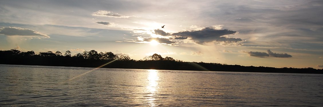 AzuldeAgua1's profile banner image