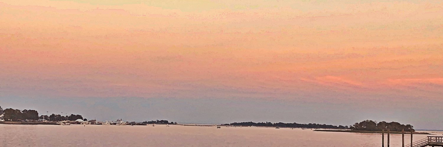 pecosari's profile banner image