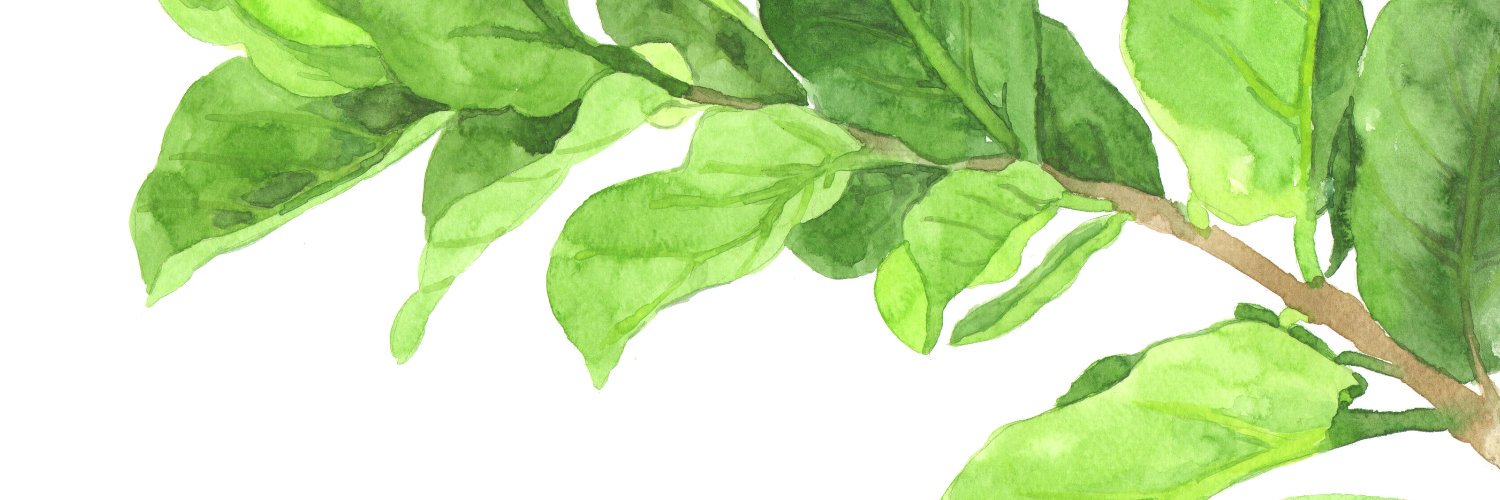artyu's profile banner image