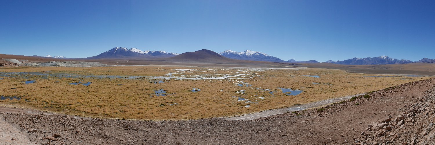 Muriel Pichon de Boysere banner