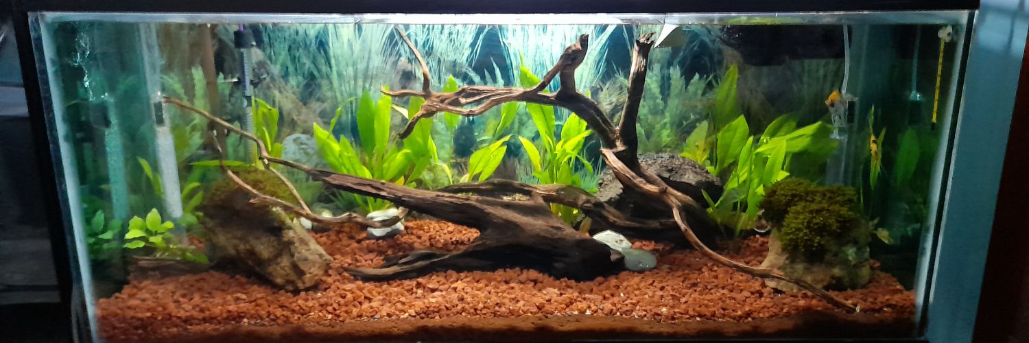 Diego Marín (Quirón) banner