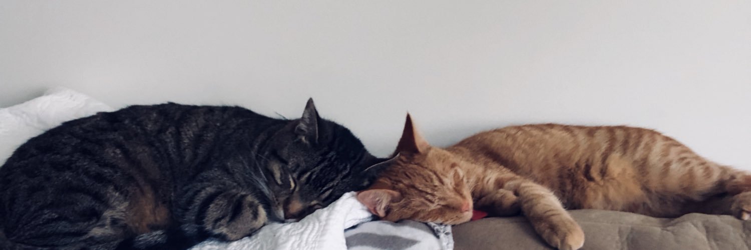 _rastrae's profile banner image