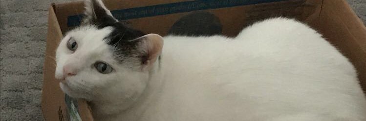 McClainViolet's profile banner image