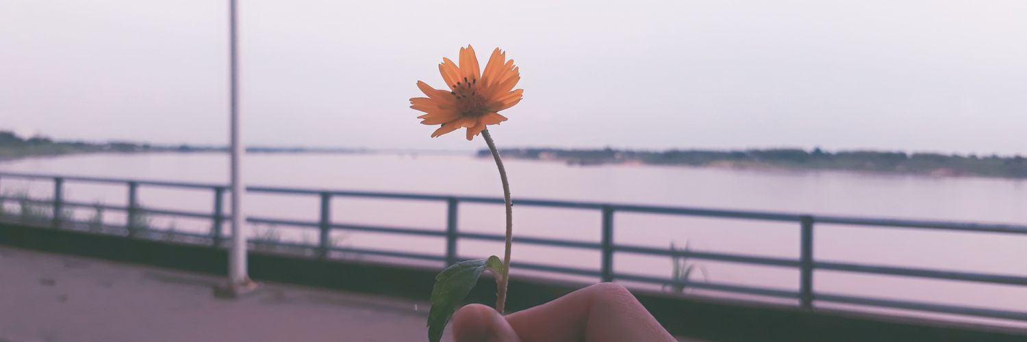 Dujdaw2's profile banner image