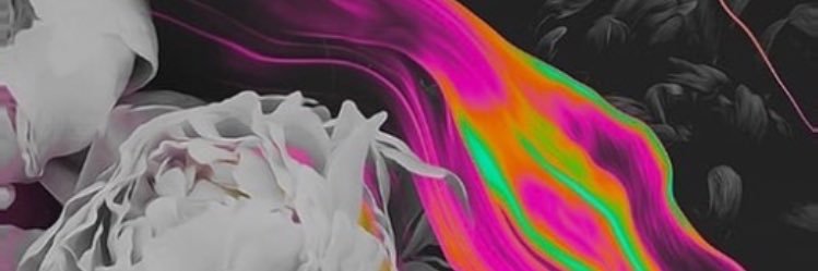 SamSequeira's profile banner image