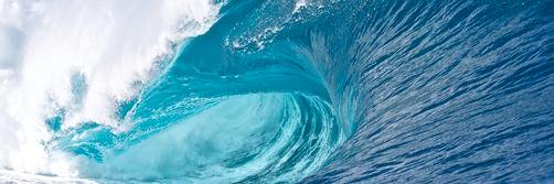 william beinbrink banner