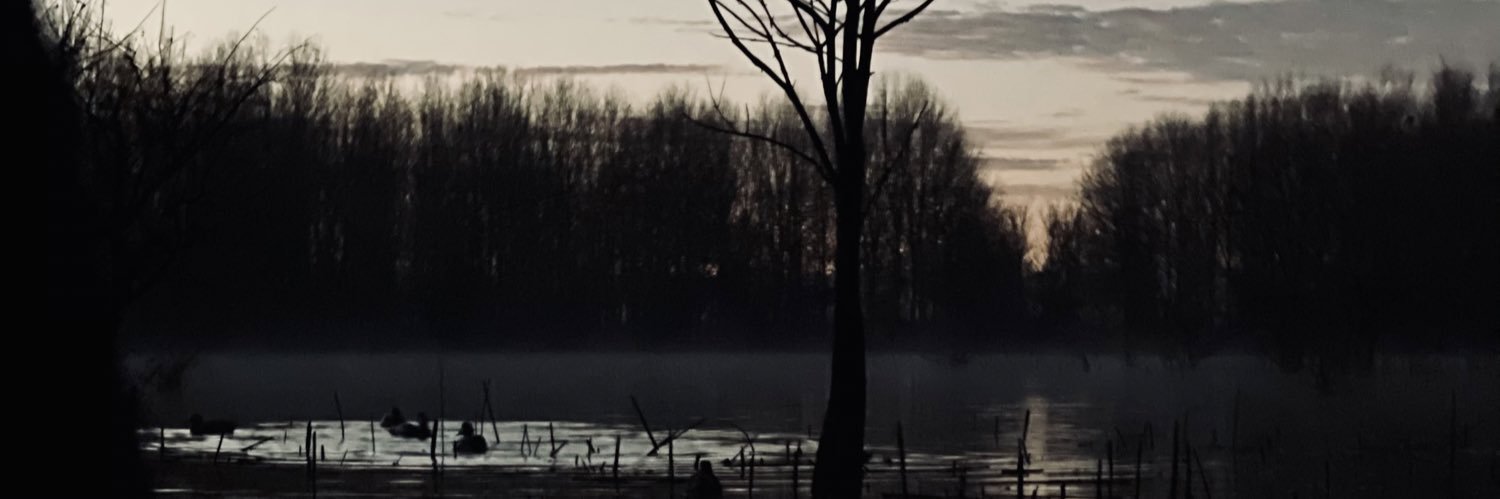 _blakeshirley_'s profile banner image