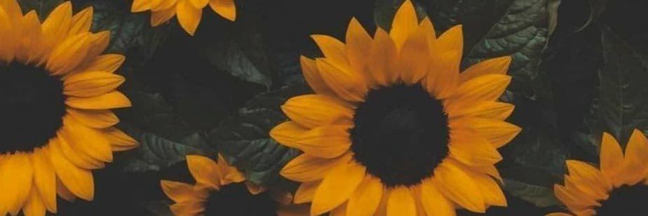 Aix_908's profile banner image