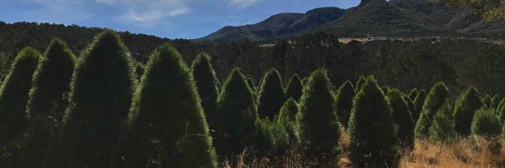 annaMoralez's profile banner image