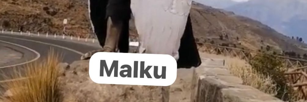 Ricardo Ulcuango F. banner