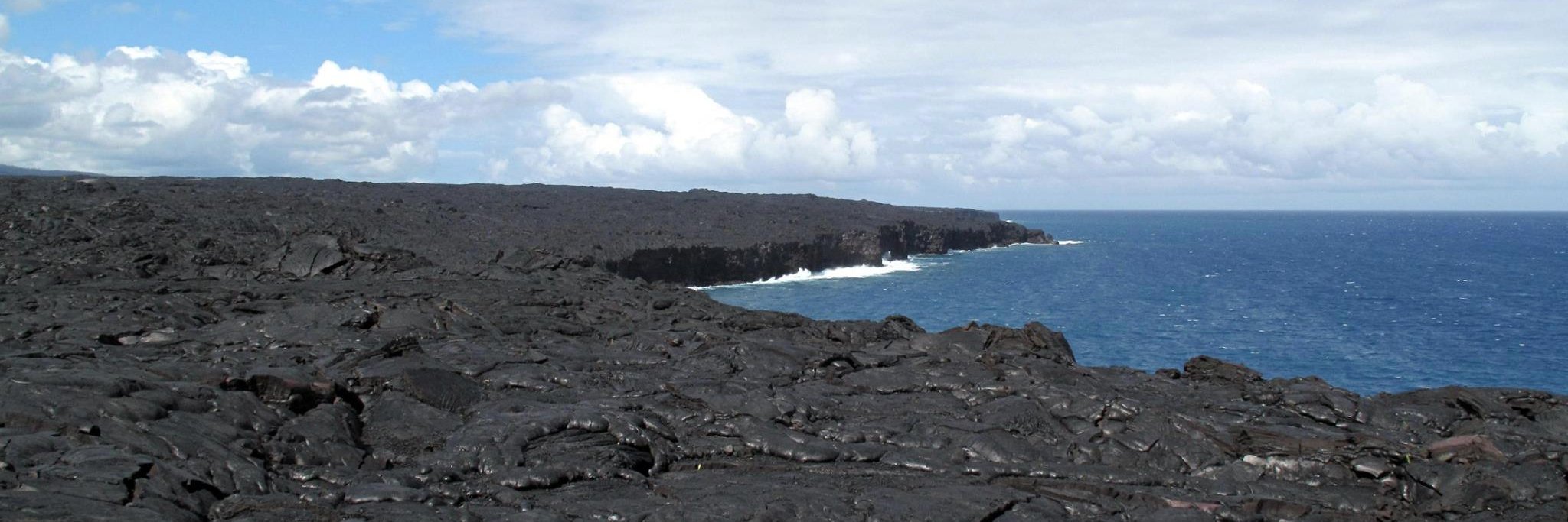 Mitchell O'Connell banner