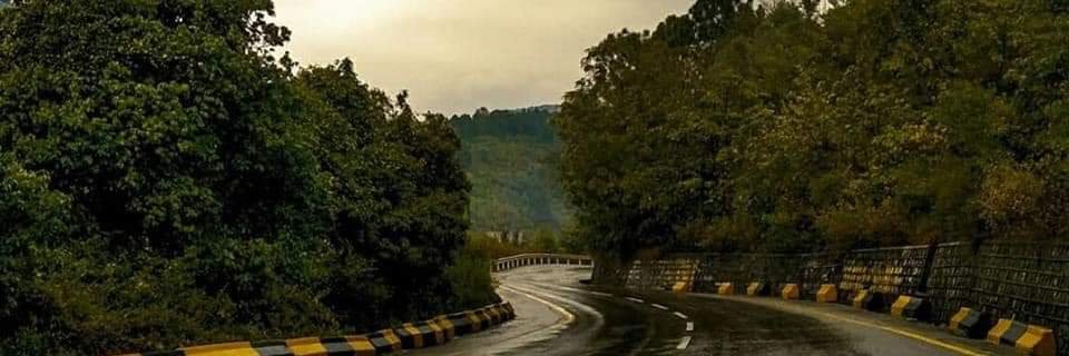 Seema Mohmand banner