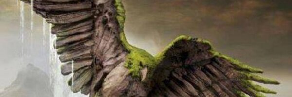 RedskyT Profile Banner