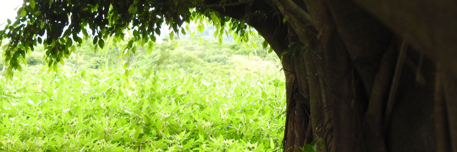 Lincon_Borges's profile banner image