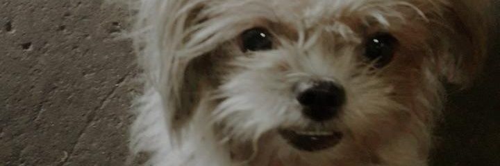 cgroqueeeee's profile banner image