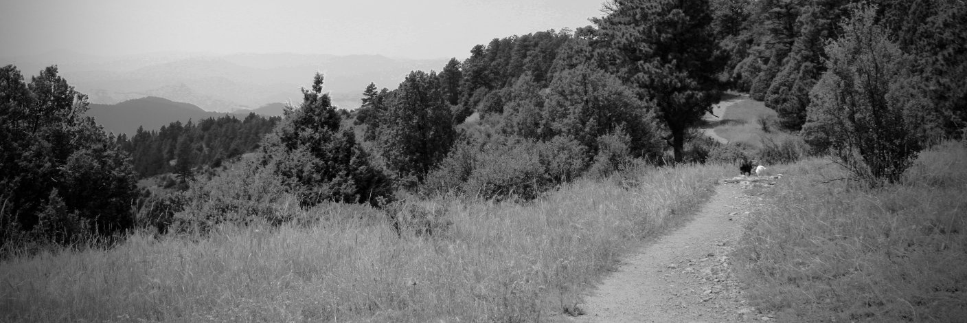 Peter_Mullin's profile banner image