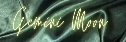 Pamela Anderson banner