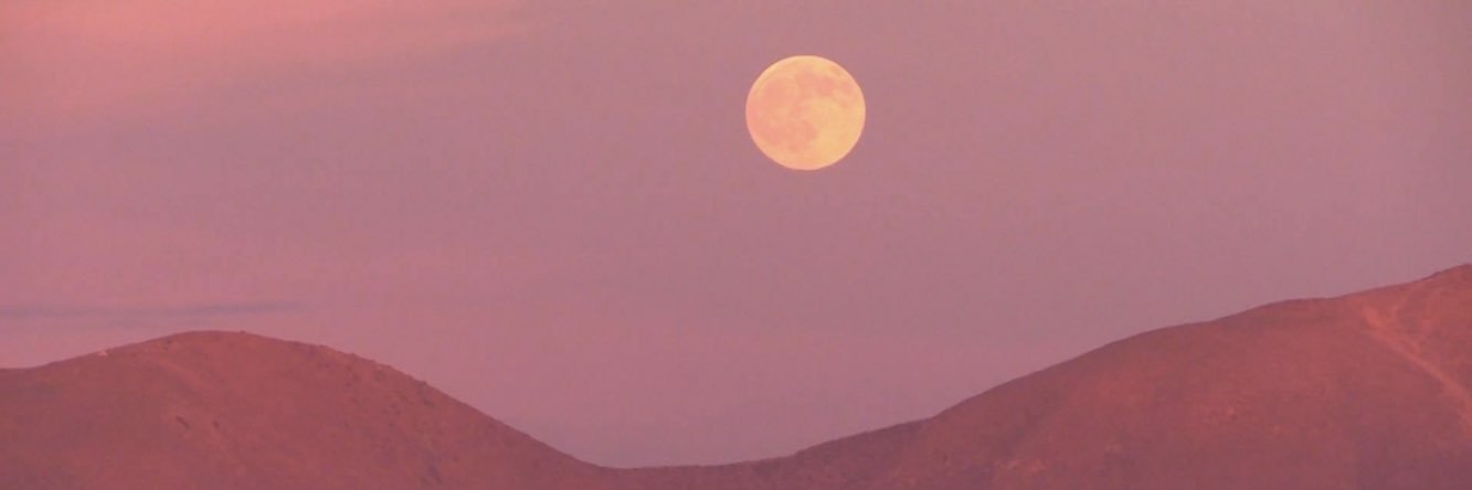 alejandrachvz's profile banner image