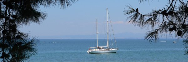 vpetryaev Profile Banner