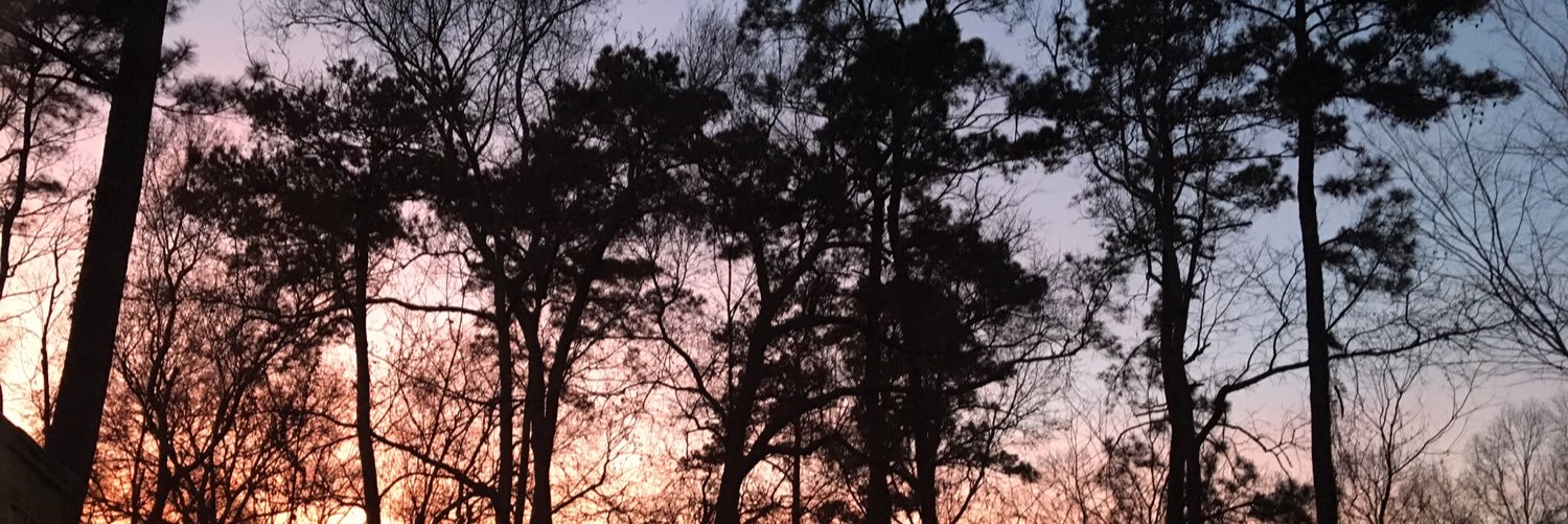 active_mind119's profile banner image