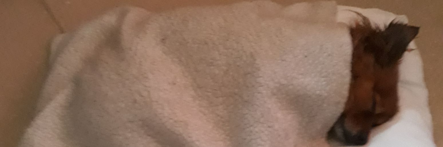 Susan #NHSLove🌈💙🌻 banner