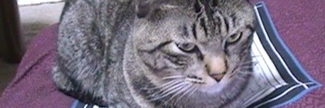_kazu_2000's profile banner image
