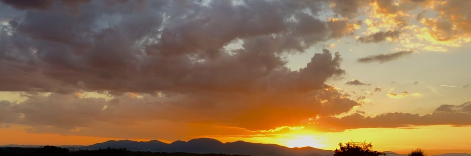vannax0x0's profile banner image