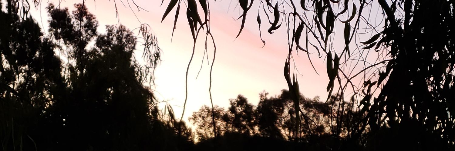 sofiibonavia's profile banner image