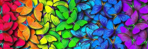DefneYaprakHbr's profile banner image
