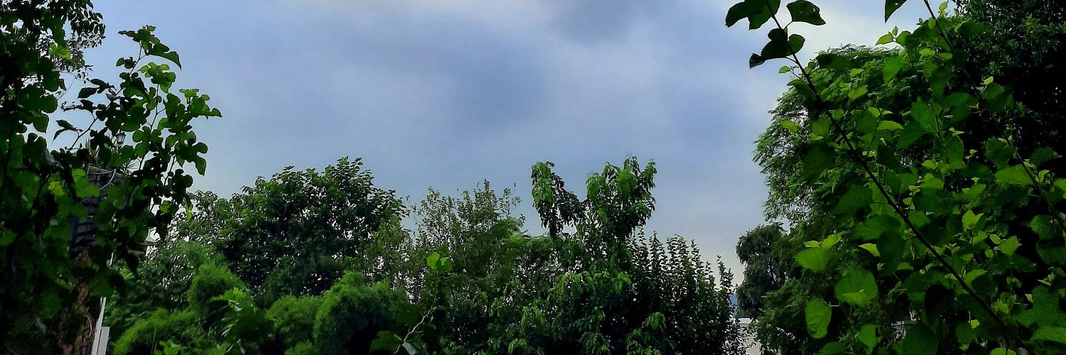 aminasarwar's profile banner image