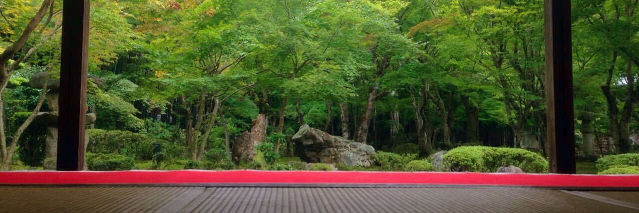 miyake_ami's profile banner image