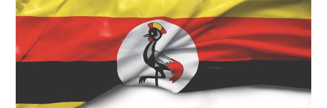 PiusOdatum's profile banner image