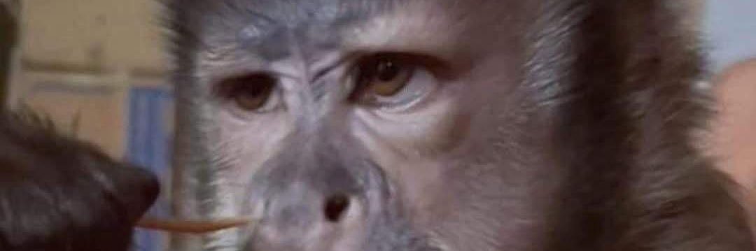 anderlust's profile banner image