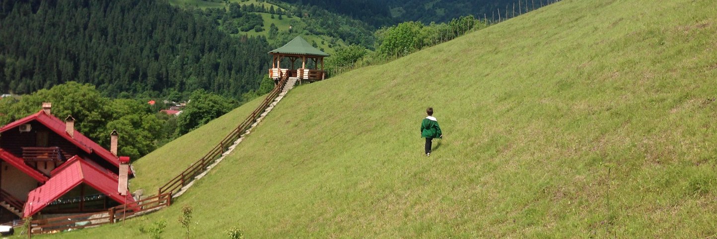 Daniela Urma MD banner