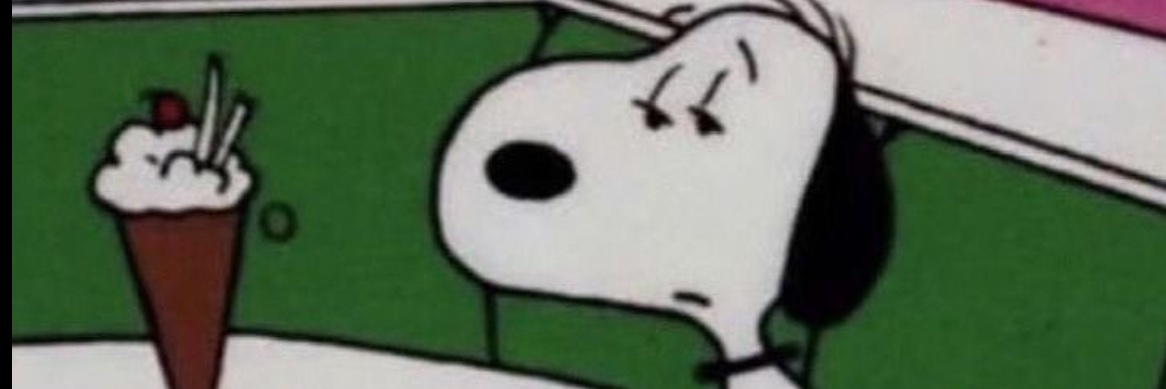 leannevillz's profile banner image