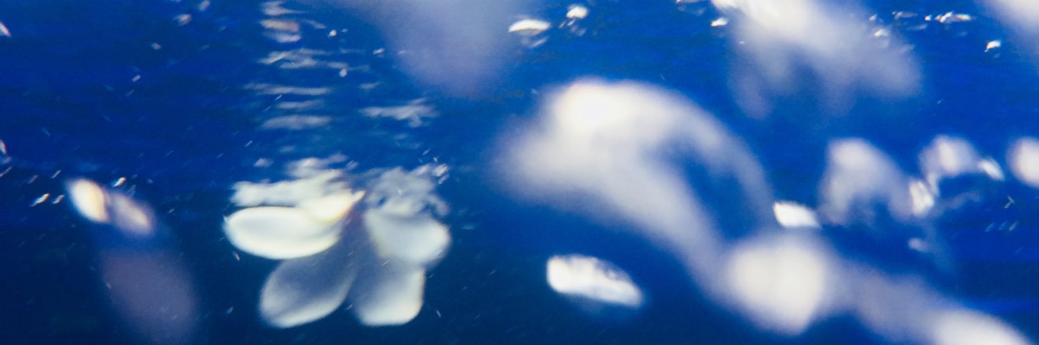 拍花老人  banner