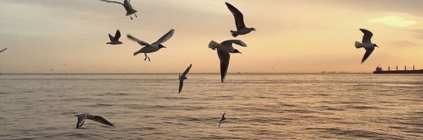 mm_seif's profile banner image