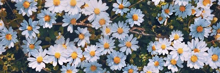 Wanjingyeo's profile banner image