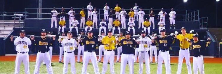 MWSU Baseball banner