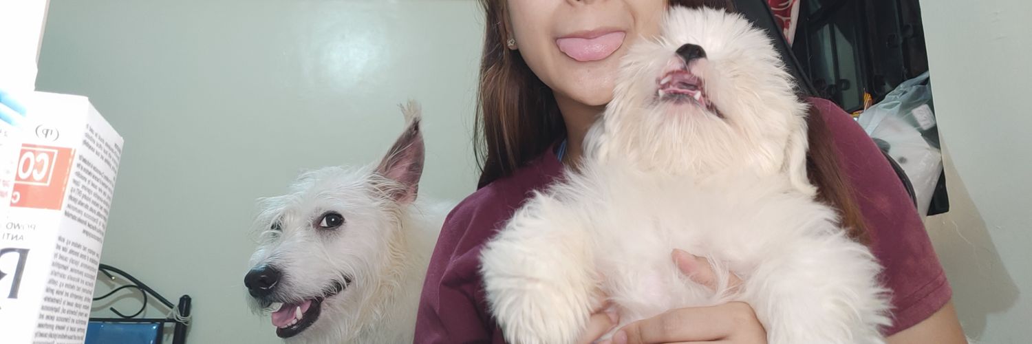 NoOtherAlien's profile banner image