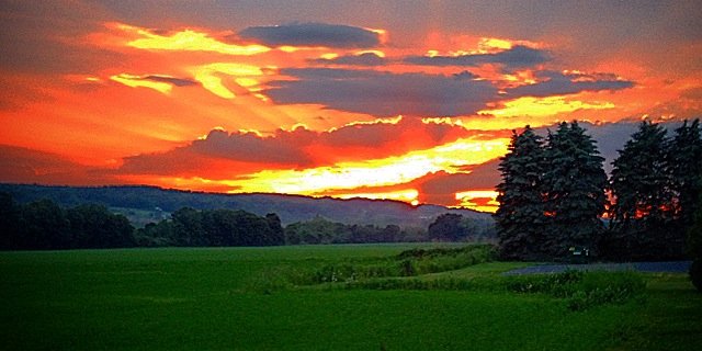 BuffLo_11's profile banner image