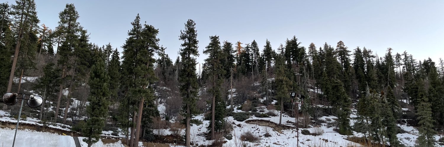 Just_Birdman's profile banner image
