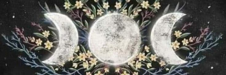 sunshinevan79's profile banner image