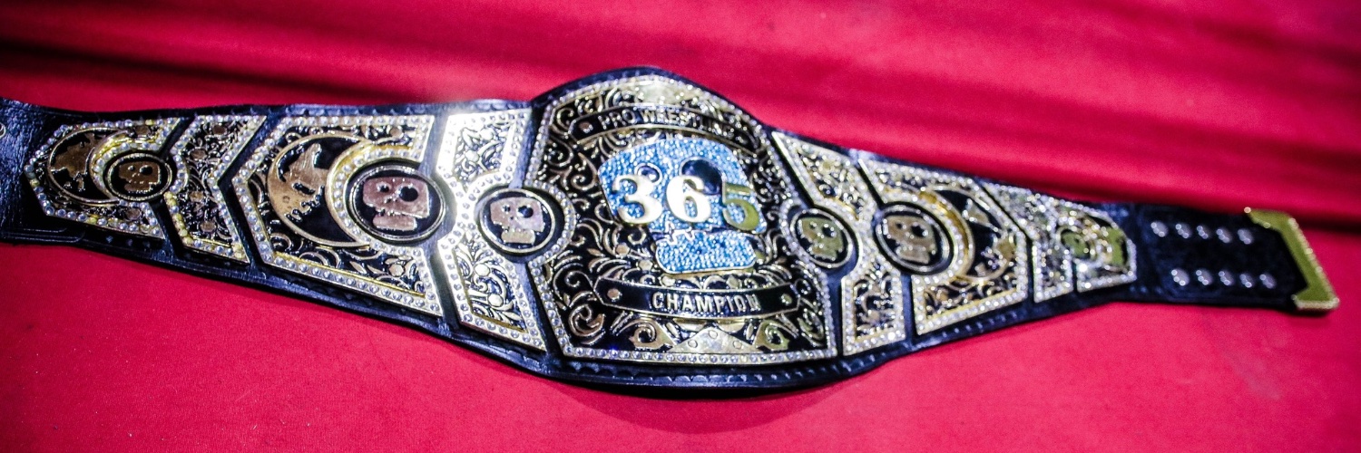 365 Pro Wrestling's banner